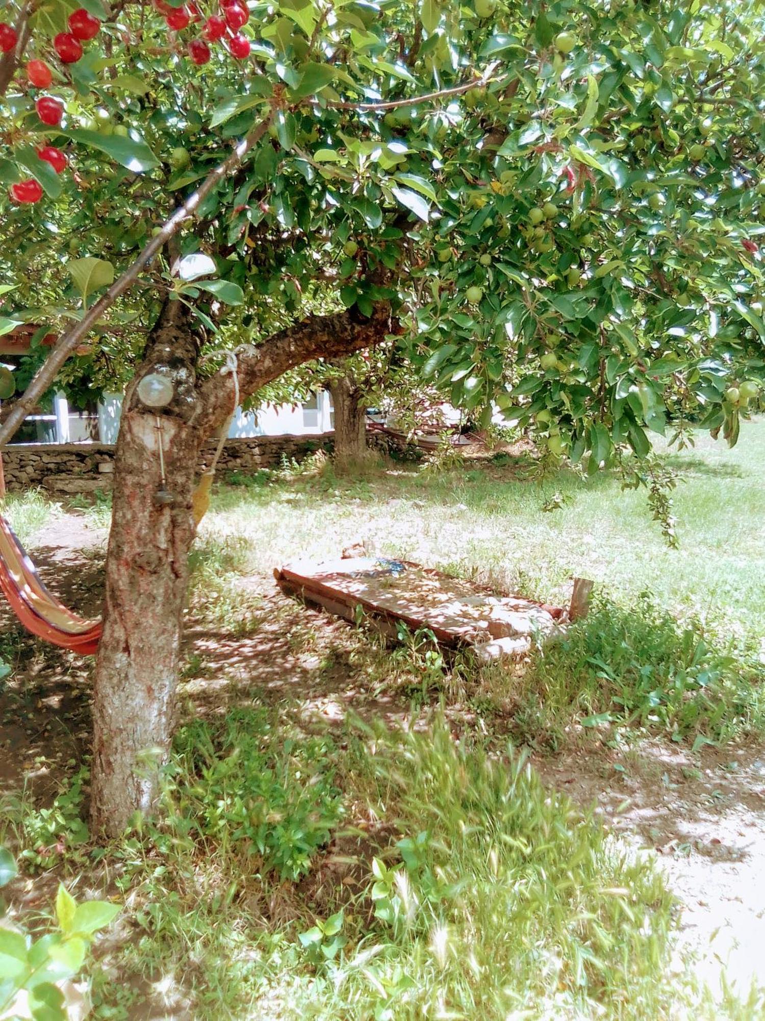 Граничар 3 Сърфа Otel Granichar Dış mekan fotoğraf